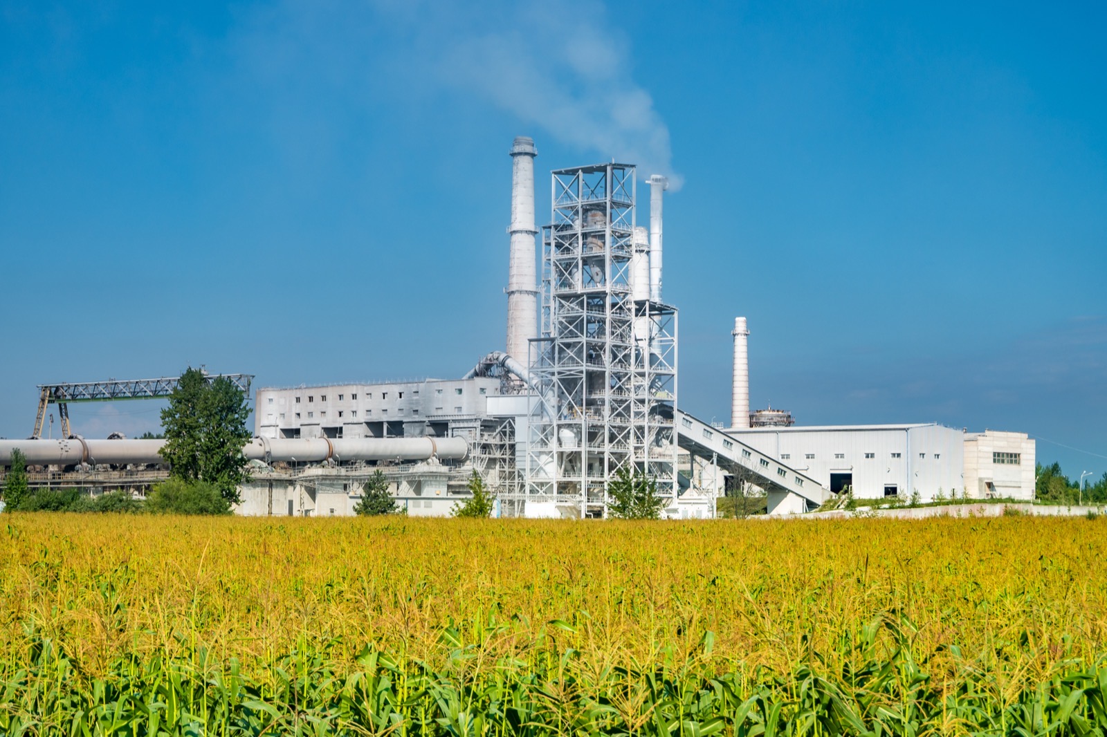 Agroindustria